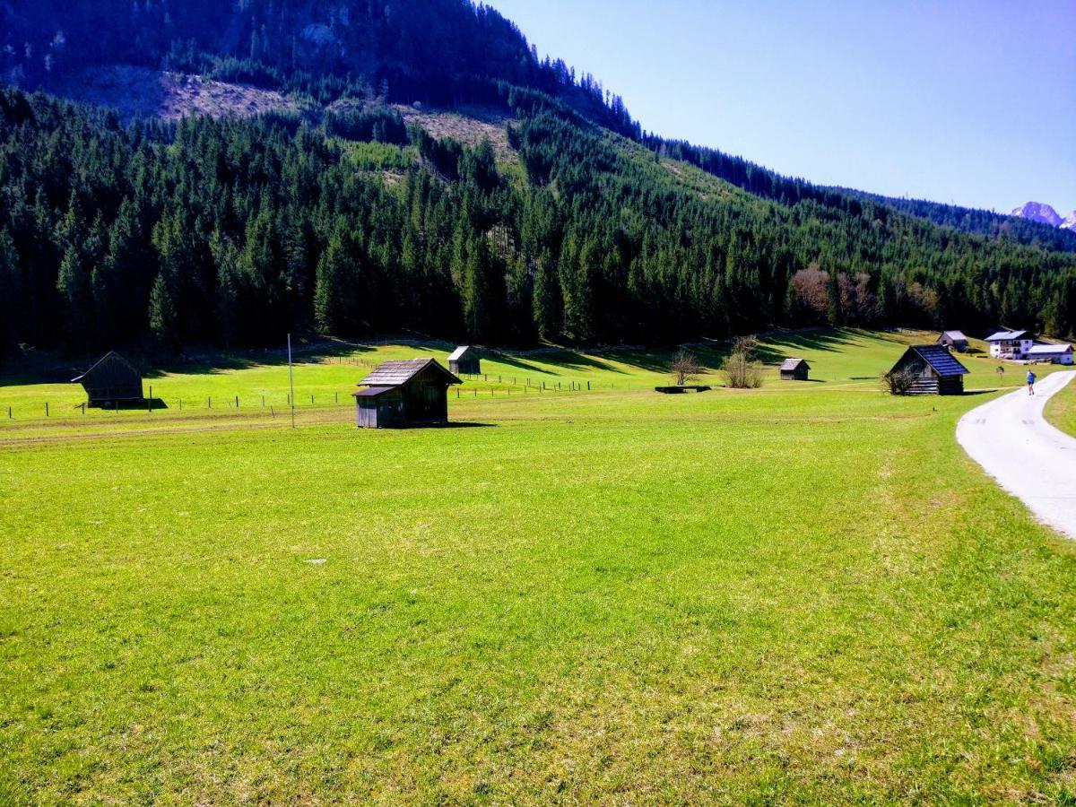 Pension Edelweiss Top 25 Gosau Exterior photo