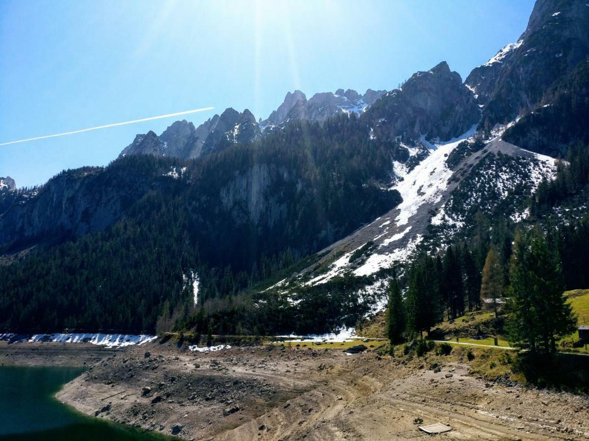 Pension Edelweiss Top 25 Gosau Exterior photo