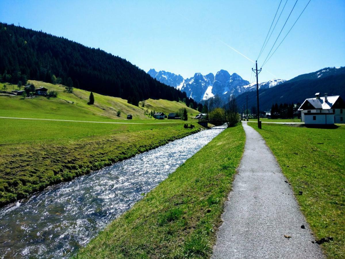 Pension Edelweiss Top 25 Gosau Exterior photo