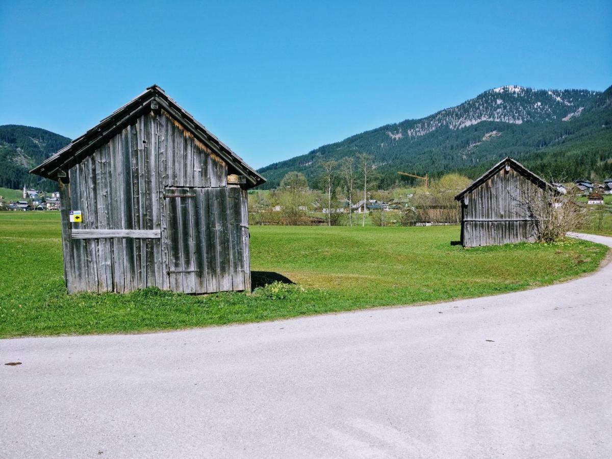 Pension Edelweiss Top 25 Gosau Exterior photo
