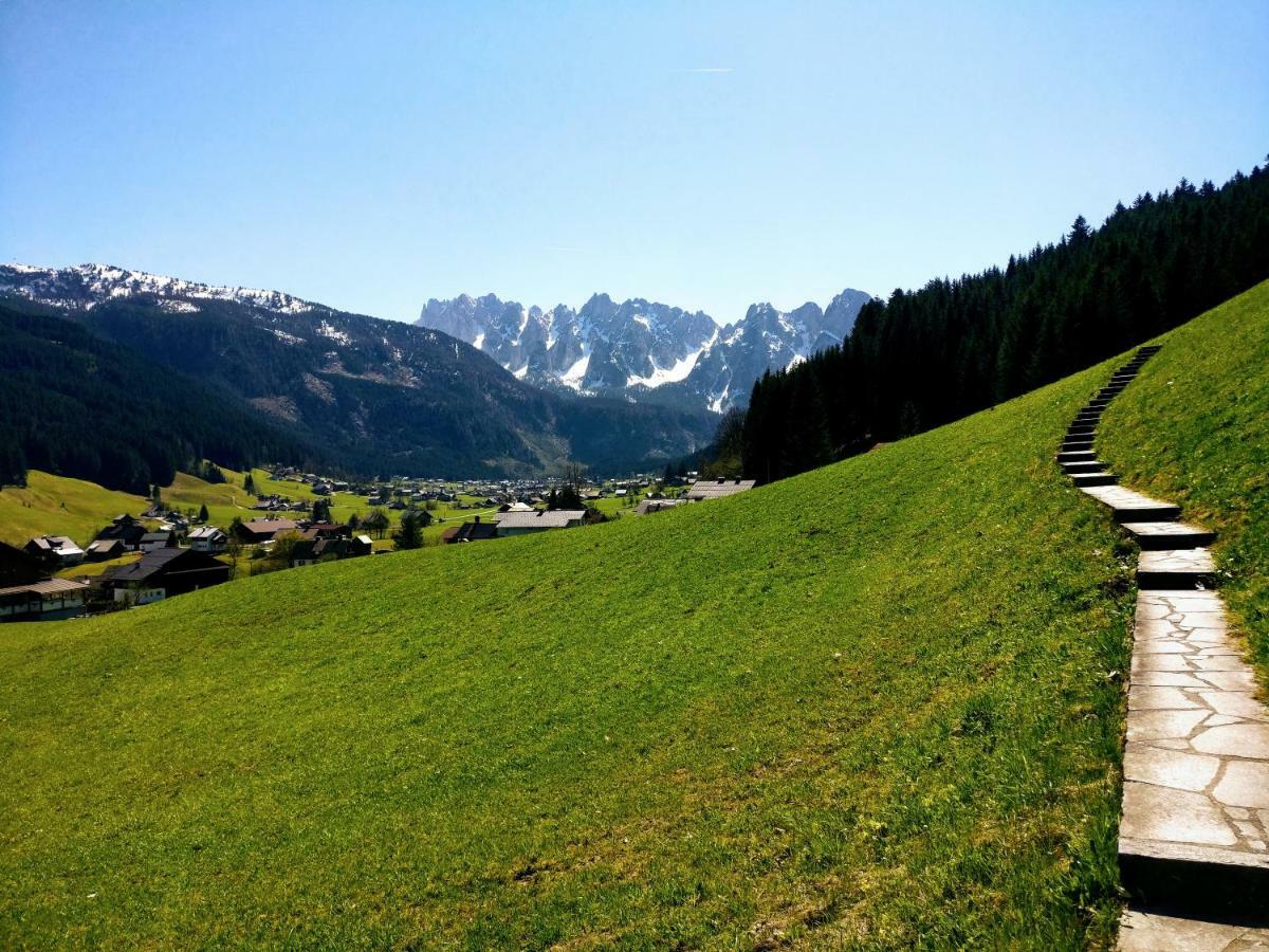 Pension Edelweiss Top 25 Gosau Exterior photo