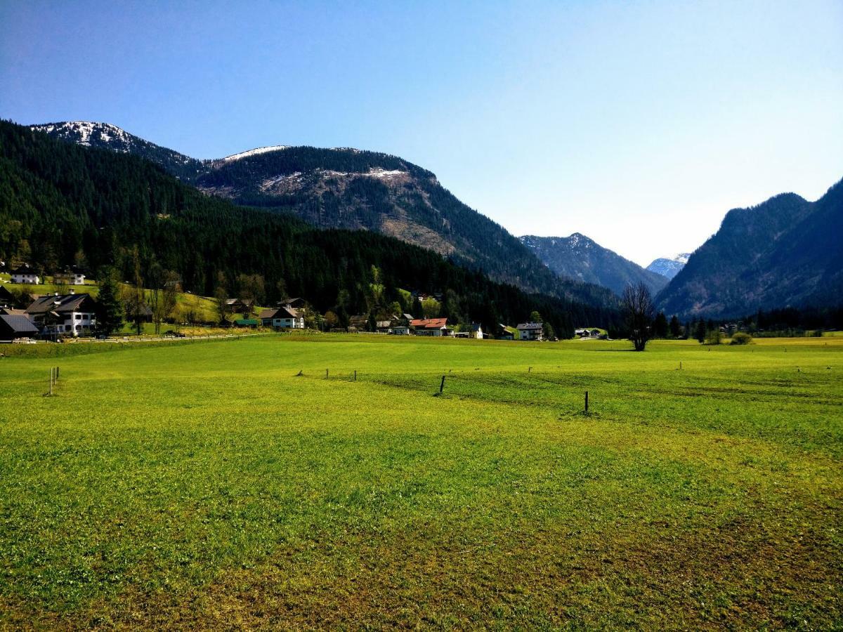 Pension Edelweiss Top 25 Gosau Exterior photo