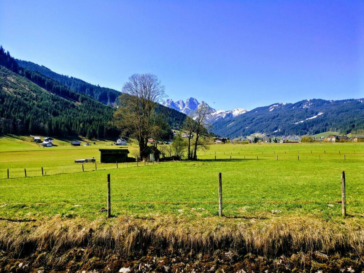 Pension Edelweiss Top 25 Gosau Exterior photo