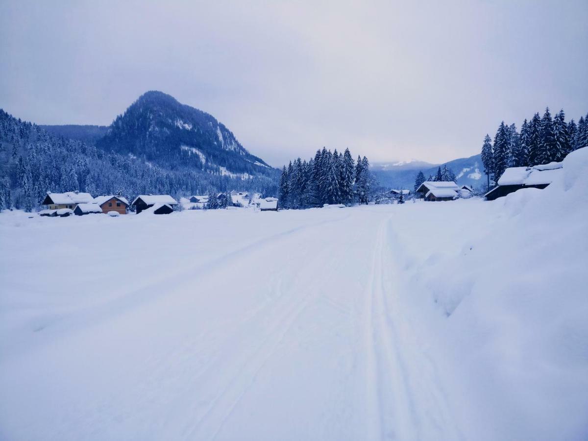 Pension Edelweiss Top 25 Gosau Exterior photo