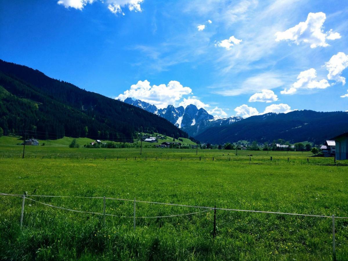 Pension Edelweiss Top 25 Gosau Exterior photo